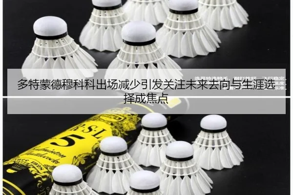 多特蒙德穆科科出场减少引发关注未来去向与生涯选择成焦点