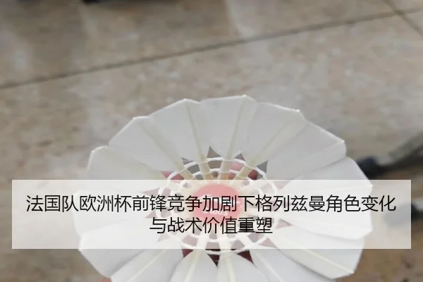 fa-guo-dui-ou-zhou-bei-qian-feng-jing-zheng-jia-ju-xia-ge-lie-zi-man-jue-se-bian-hua-yu-zhan-shu-jia-zhi-zhong-su-2-230.jpg